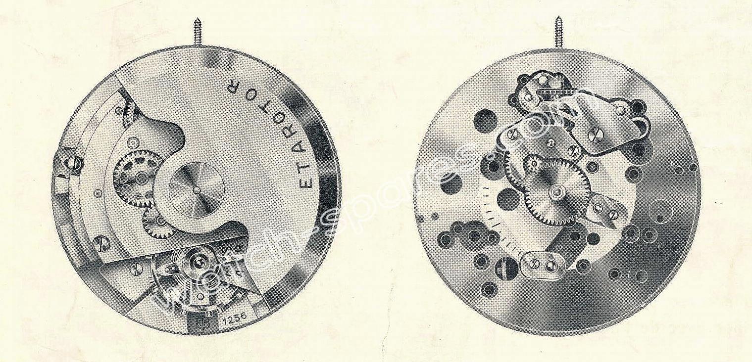 ETA 1256 watch movements ETA 1256 watch movements