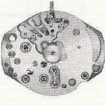 Standard ST 69 N watch movement Standard ST 69 N watch movement